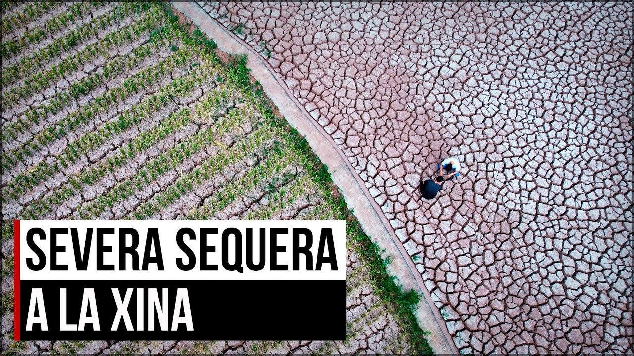 SEQUERA a la Xina: els rius es van assecar → Què significa AIXÒ per al país?