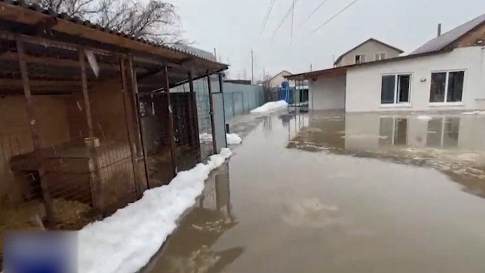 Rusya Federasyonu, Orenburg bölgesinde sel baskını