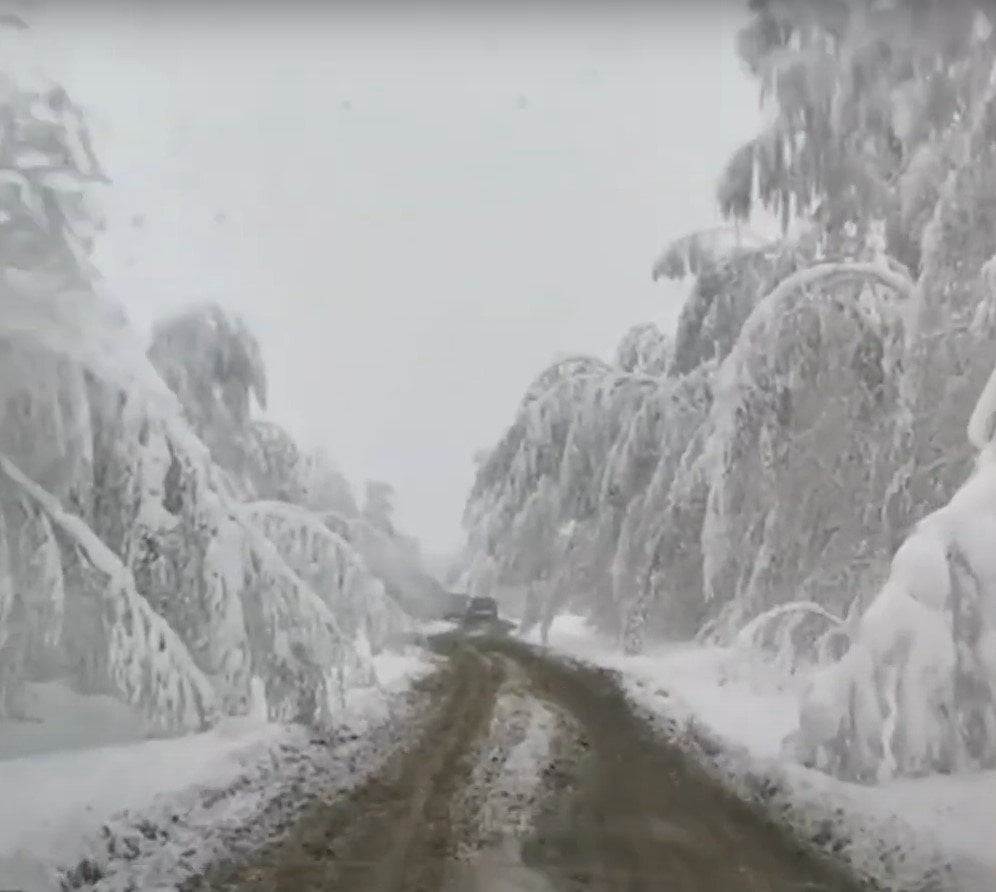 Abnormal cold in Russia, May snow in Russia, frosts in Russia