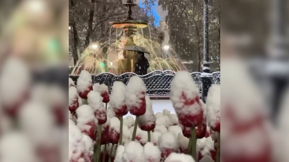 Snow in Nizhny Novgorod, May 2024, frosts in May, Russia, frosts, Russian Federation