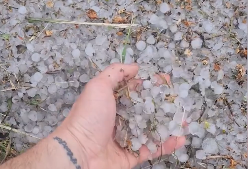 Hail in Poland, hail destroys crops in Poland, storm in Poland