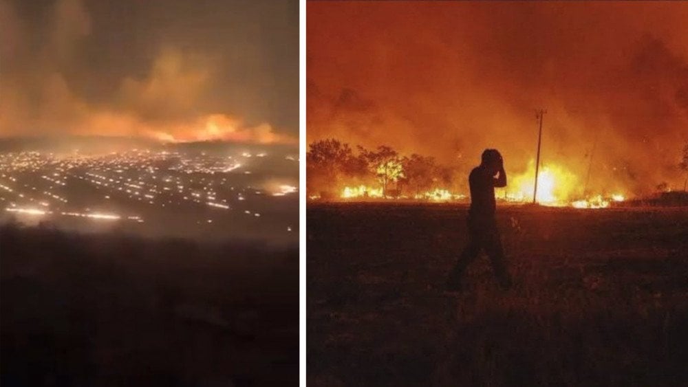 šumski požari u Turskoj, životinje umiru od požara, područje požara u Turskoj