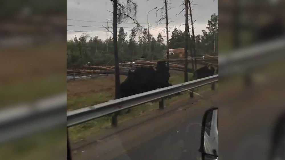 a tempestade em São Petersburgo, tempestade na região de Leningrado, consequências da tempestade em São Petersburgo