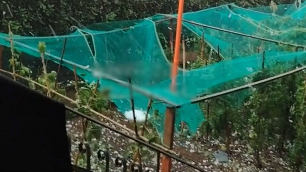 Tempête en Suisse, grêle en Suisse, vent violent en Suisse