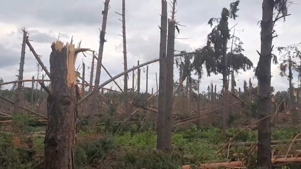 Vent violent en Biélorussie, tempête en Biélorussie, arbres abattus par le vent en Biélorussie.