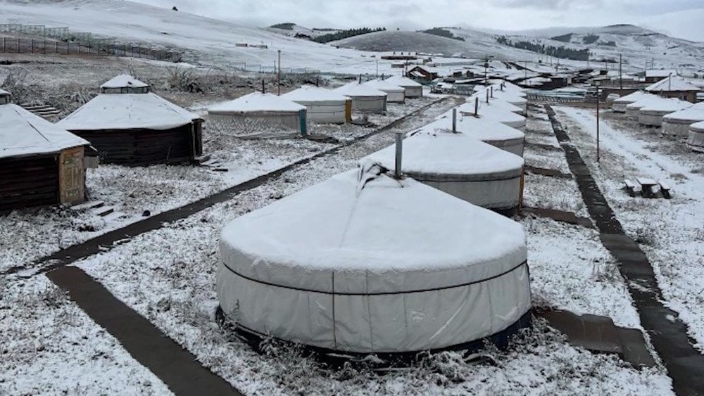 Snow in Mongolia, sharp cooling in Mongolia, frosts in Mongolia