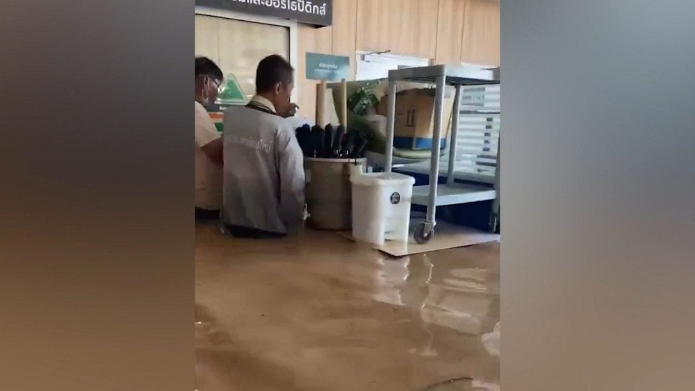 Inundaciones en Tailandia, temporada de lluvias en Tailandia, elefantes ahogados en Tailandia