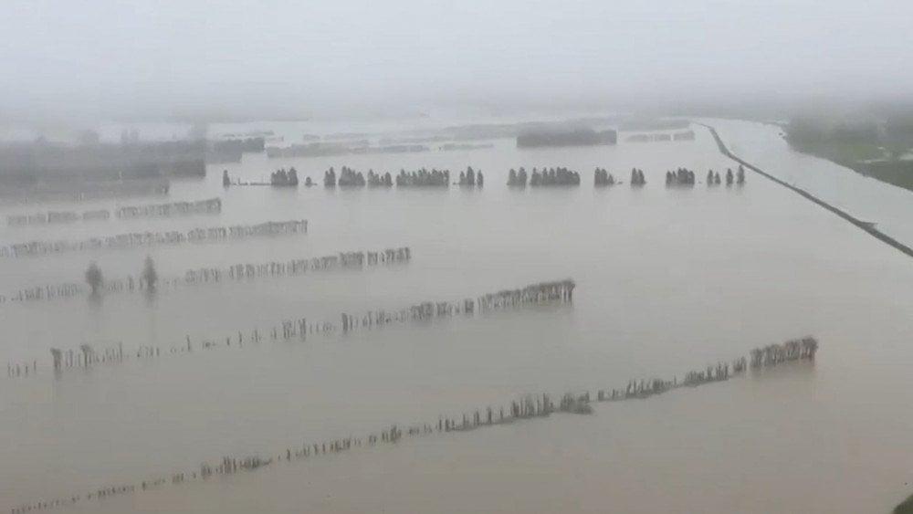 Abnormal rainfall Dunedin, flooding New Zealand, heavy rain New Zealand