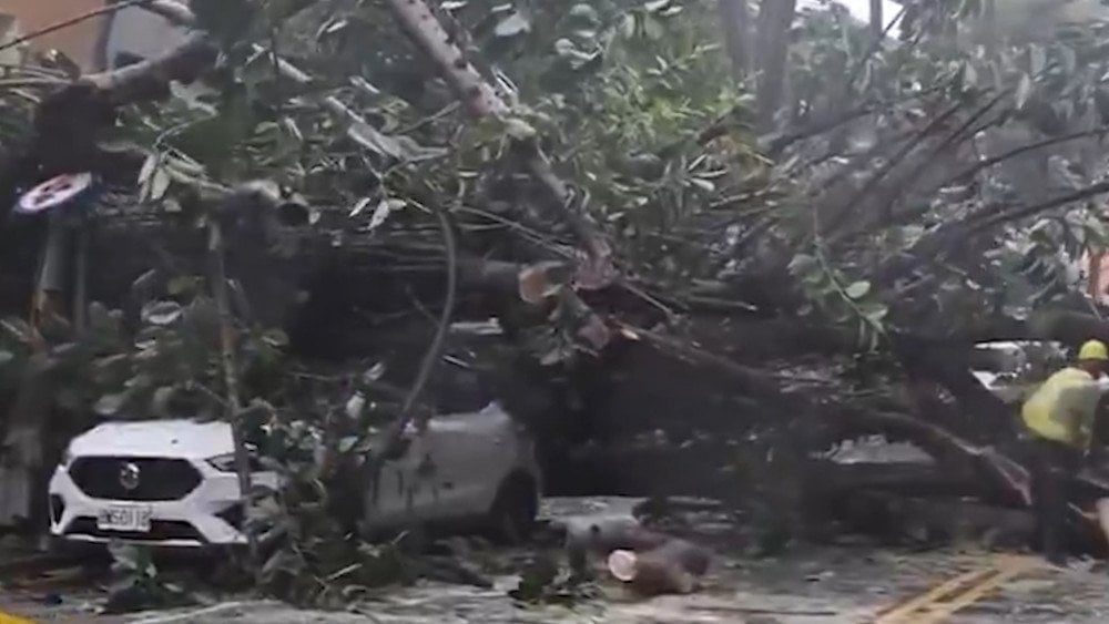 Typhoon Kong-rey in Taiwan, Strong Winds in Taiwan