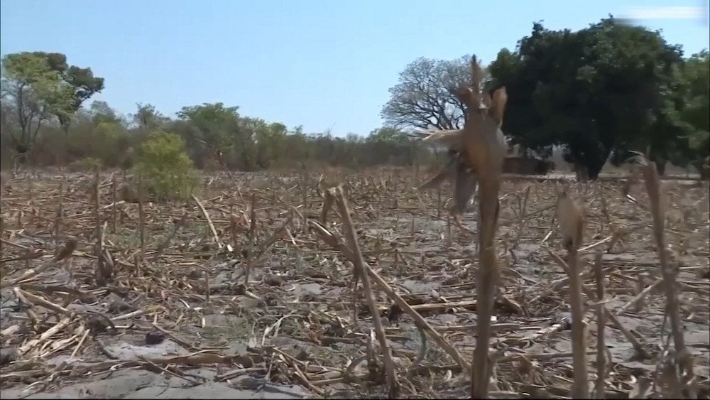 Severe drought in Africa, food crisis in Africa