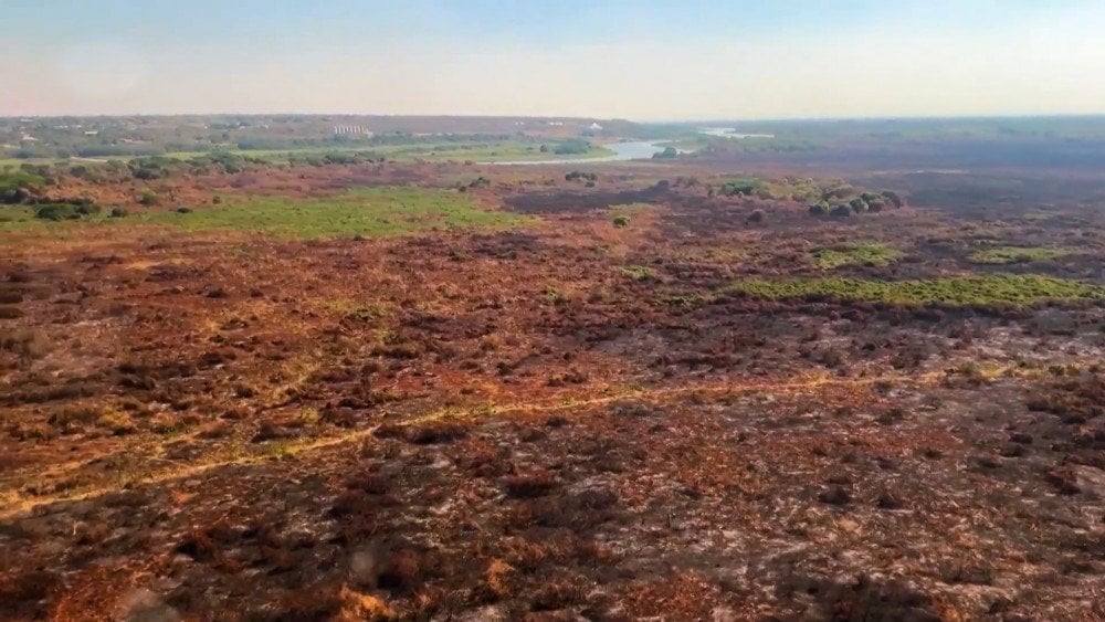 Stor skovbrand i Pantanal, skovbrand ødelægger økosystem, skovbrand i Pantanal