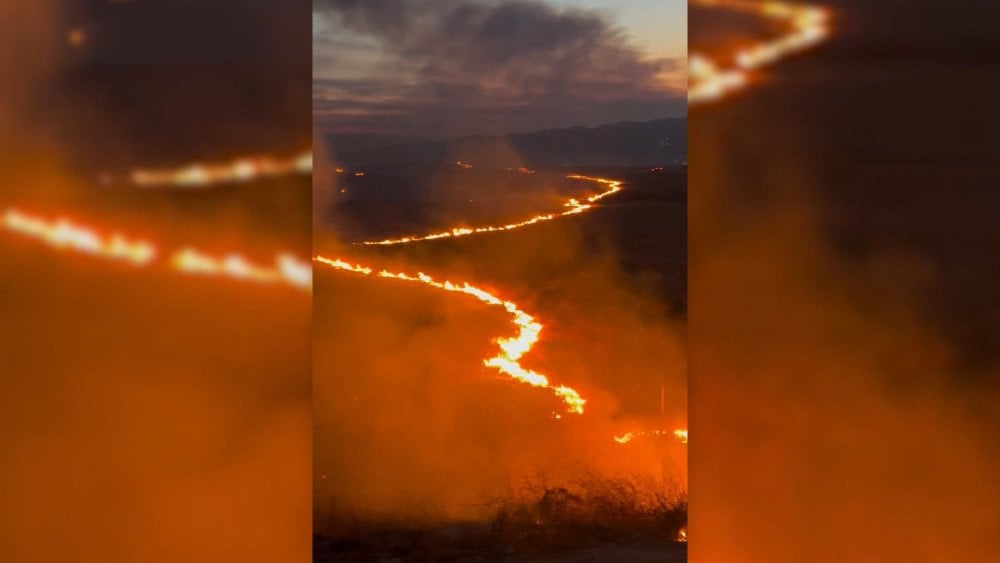 Šumski požar u Kaliforniji, šumski požar u SAD-u, veliki šumski požar u SAD-u.