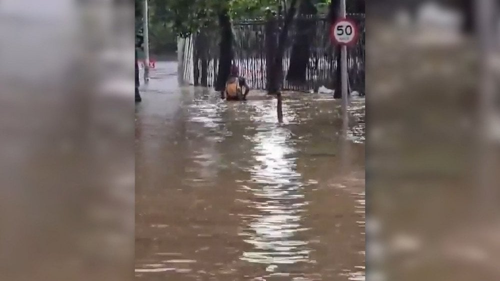 น้ำท่วมในบราซิล พายุรุนแรงในบราซิล น้ำท่วมในเซาเปาโล