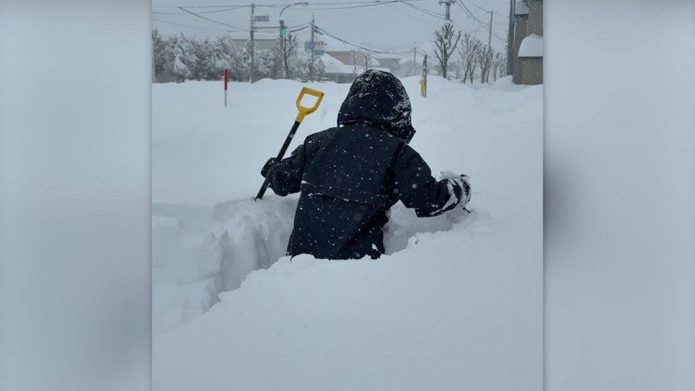 Tung sne i Japan, snefald i Japan, Japan begravet under sne