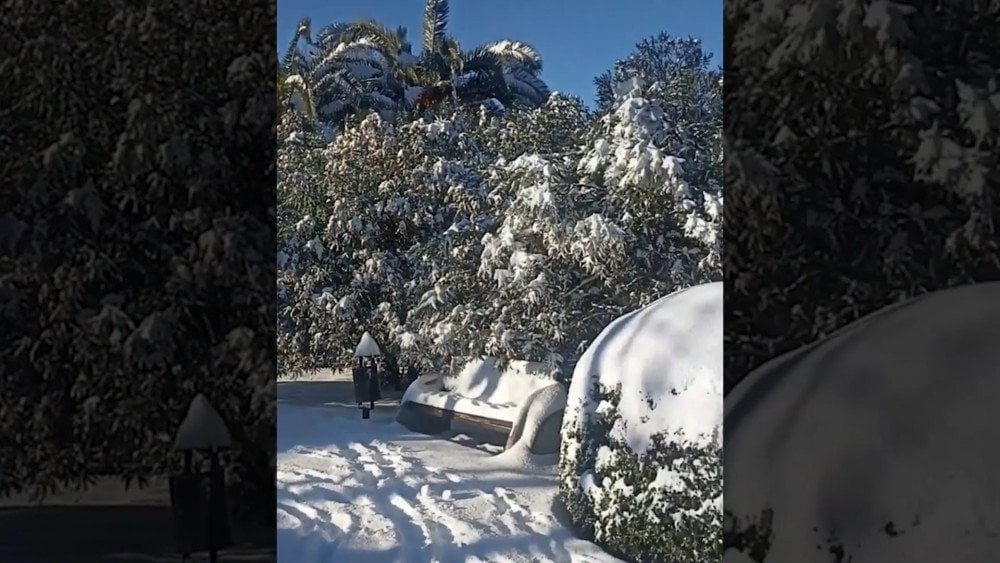 Snowfall in southern Russia, palm trees covered in snow in Sochi, snowfall in Sochi