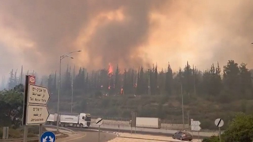 Šumski požar u Izraelu, prirodna katastrofa u Izraelu