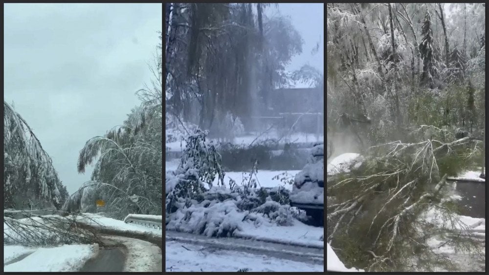 Snijeg u Rusiji, snježne oborine u Rusiji, snijeg porušio drveće u Rusiji