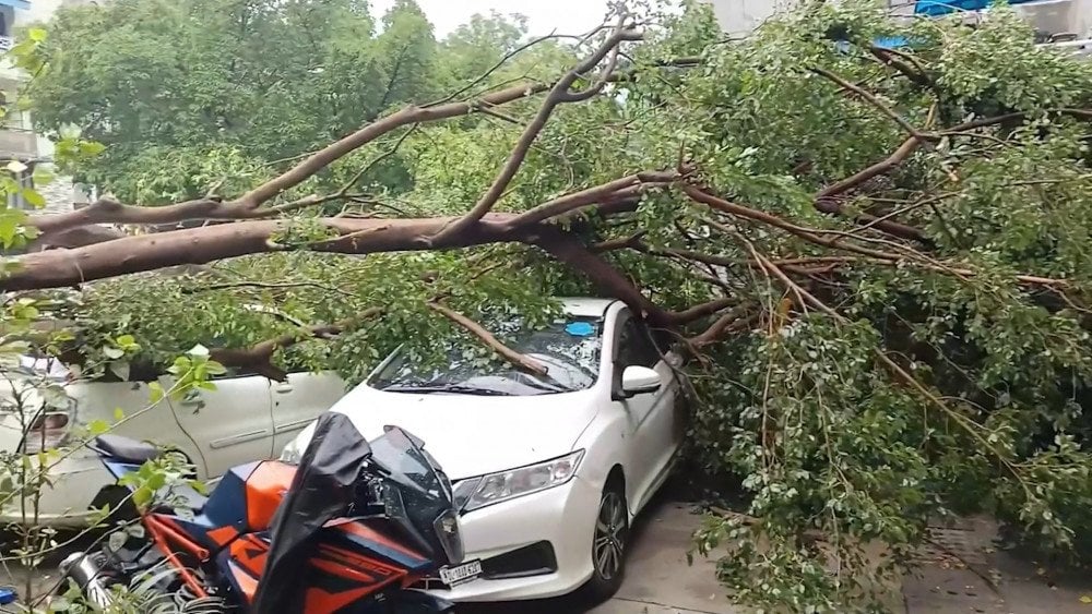Oluja u Indiji, jak vjetar u Indiji, drvo palo na automobil