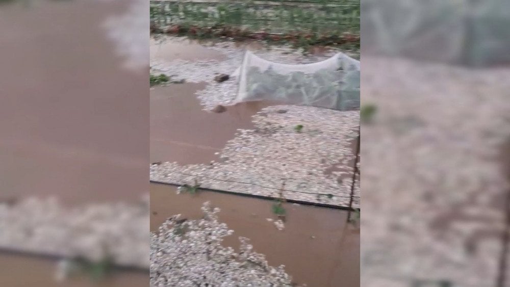 Oluja u Poljskoj, grad uništio žetvu u Poljskoj, pljusak potopio polja u Poljskoj