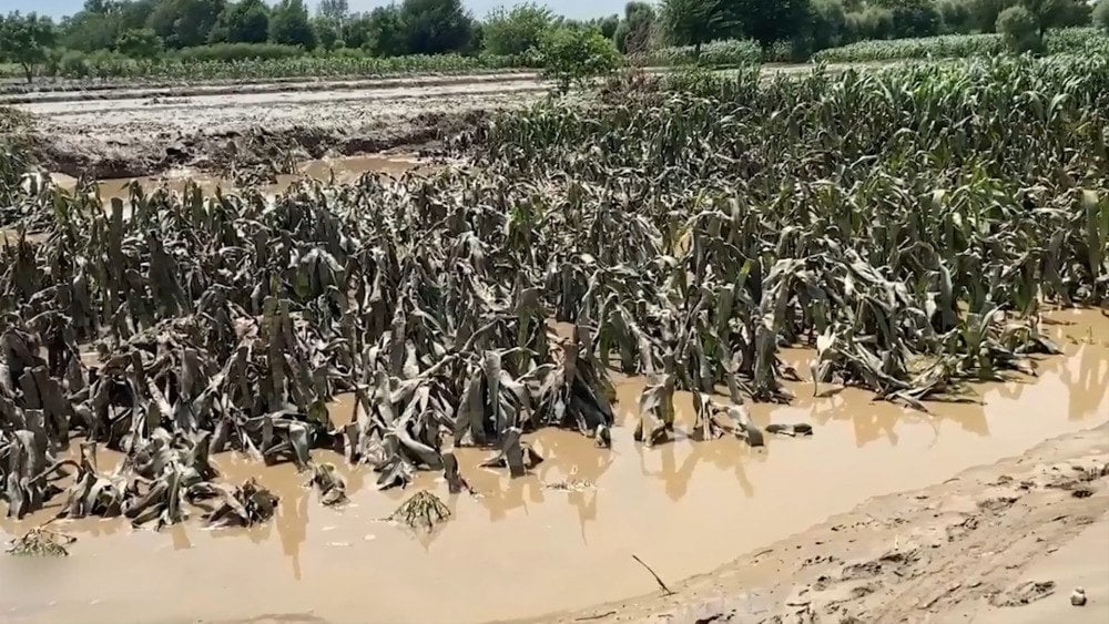 Flooding in Afghanistan, torrential rains in Afghanistan, farmland flooded in Afghanistan