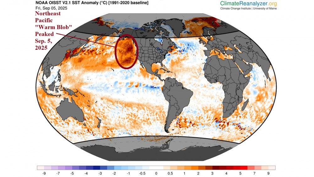Jūras karstuma viļņi, anomāla sasilšana, temperatūras anomālijas jūrā