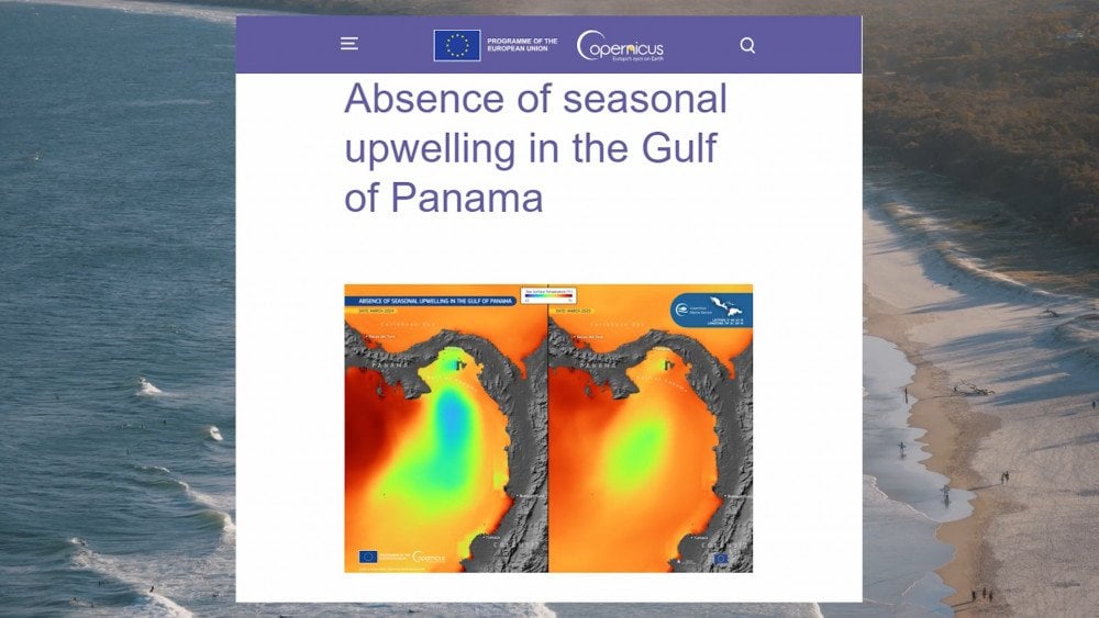 Apvelings Panamas līcī, sezonālā apvelinga traucējumi, jūras vides traucējumi, ekosistēmas cikla traucējumi