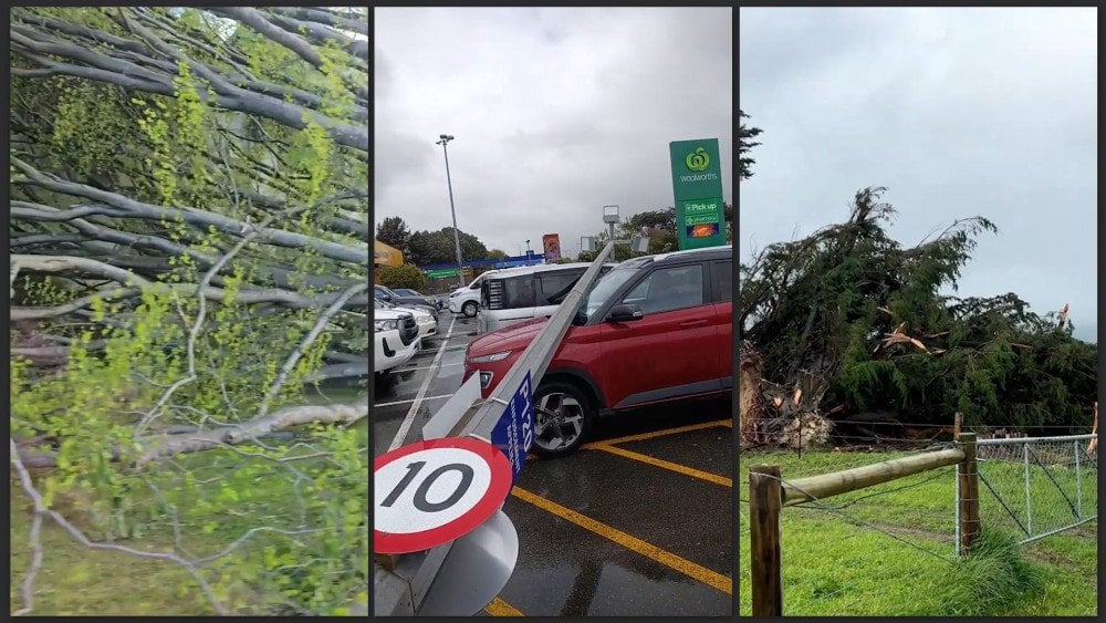 Strong wind in New Zealand, wind toppled trees in New Zealand, storm in New Zealand