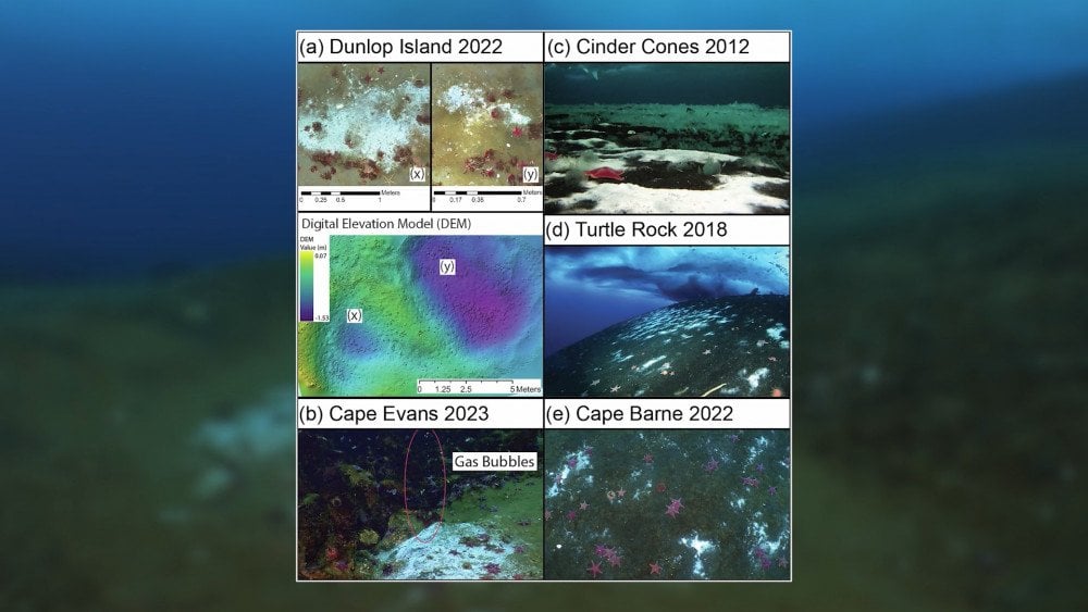 Fluid release on the seafloor in Antarctica, glacier melting in Antarctica, geothermal heat flow in Antarctica
