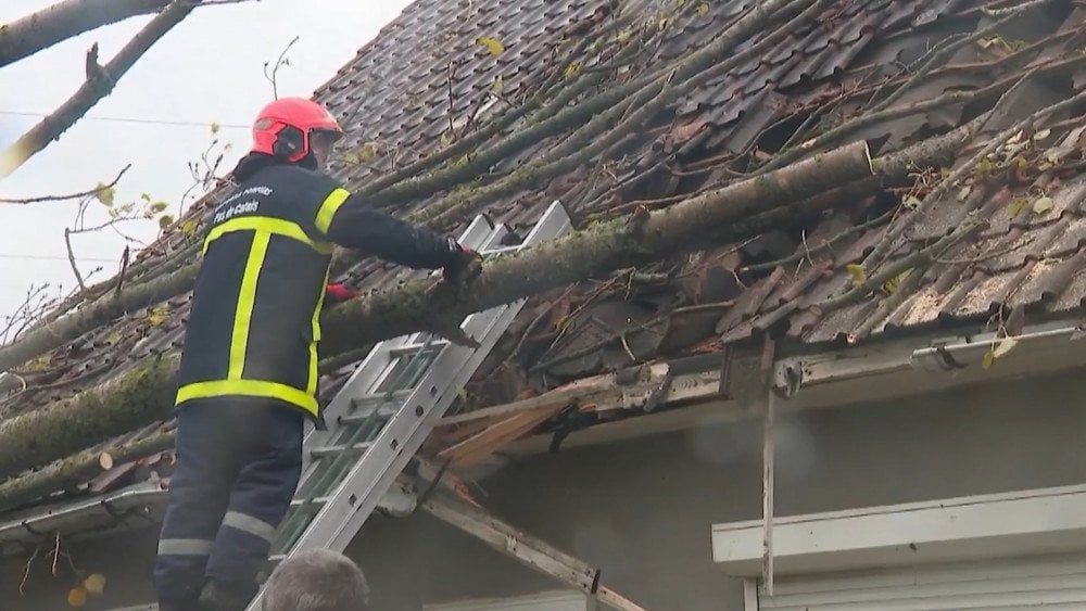 Storm Benjamin in France, strong wind in France, trees downed by wind in France