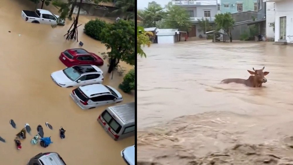 Наводнение во Вьетнаме, ливень во Вьетнаме, проливной дождь во Вьетнаме, Вьетнам затопило