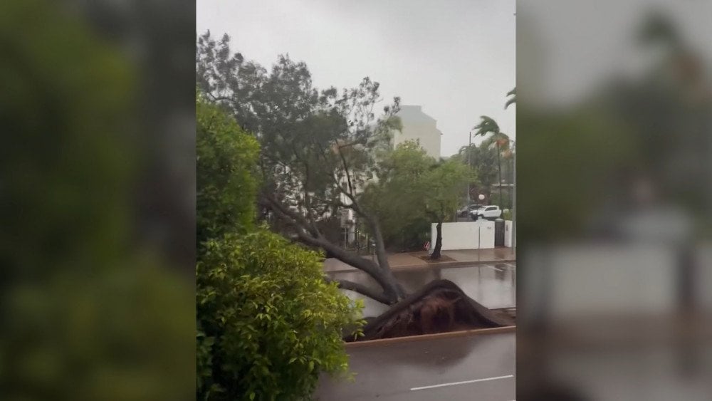 Циклон Фина в Австралии, сильный ветер в Австралии, ветер повалил деревья в Австралии