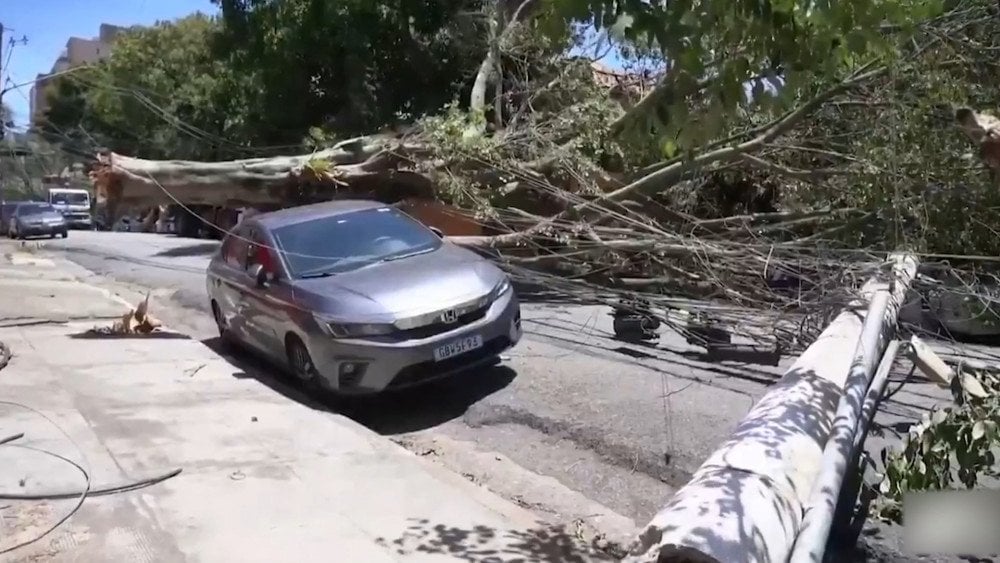 Extratropical cyclone in Brazil, strong wind in Brazil, wind toppled trees in Brazil, strong wind in São Paulo