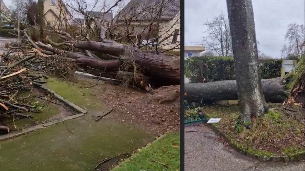 Storm in France, strong wind in France, Storm Goretti in France
