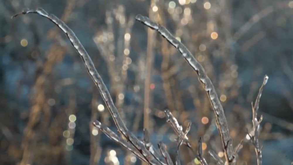 Critical temperature for winter crops in Kirovohrad Region, frosts in Kirovohrad Region