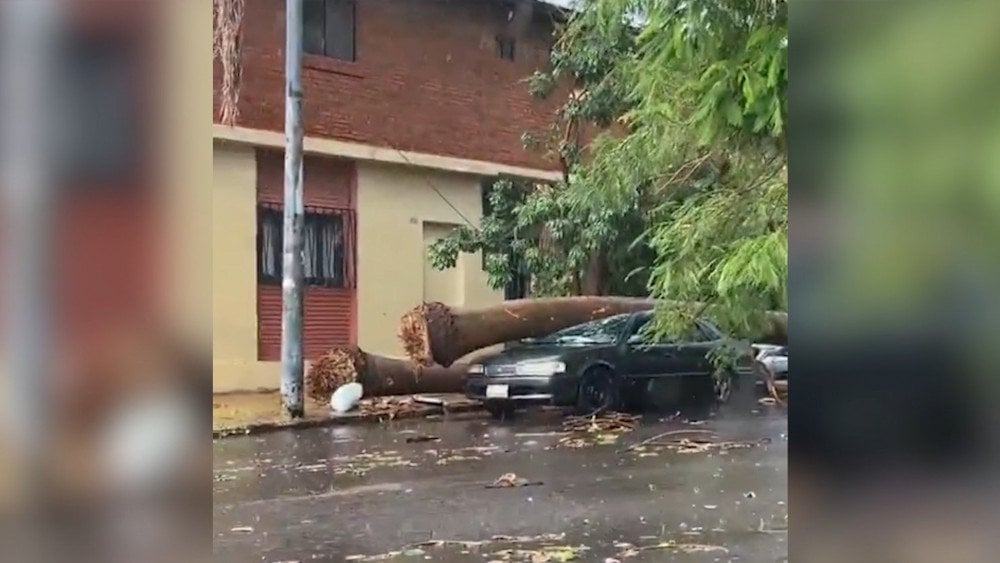 Шторм в Парагвае, поваленные деревья в Парагвае
